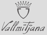 Logo Vallmitjana Logo Vallmitjana